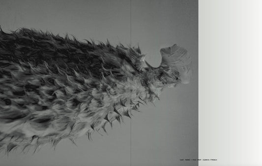 Peri Rosenzweig & Nick Royal's HARDSTYLE Is Now a Book